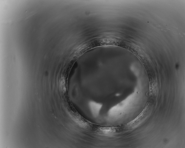 X0000098180187200805011044