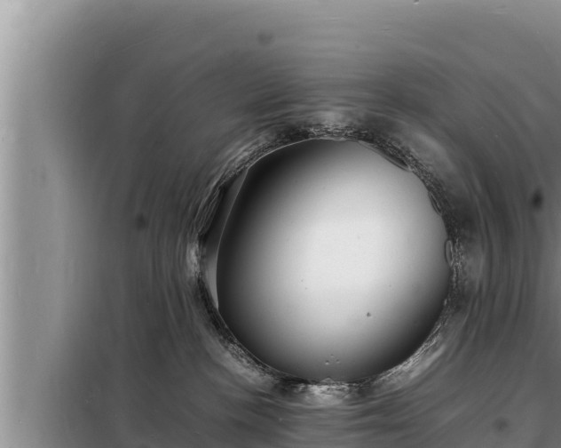 X0000098180188200805011044