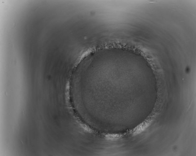 X0000098180192200805011044