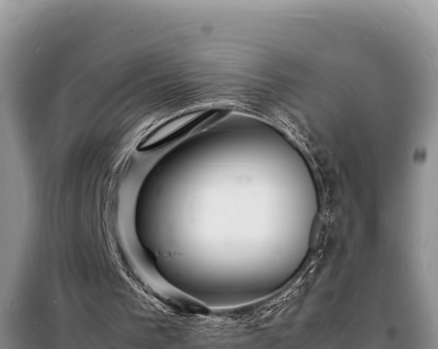 X0000098180193200805011044