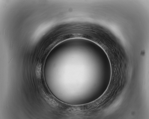 X0000098180194200805011044