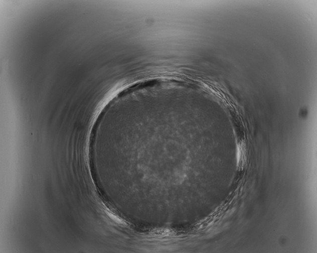 X0000098180195200805011044