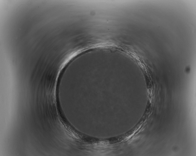 X0000098180196200805011044