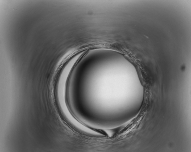 X0000098180197200805011044