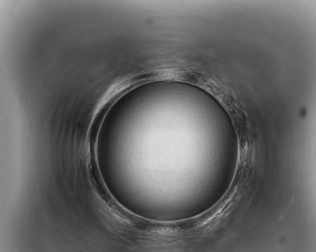 X0000098180198200805011044