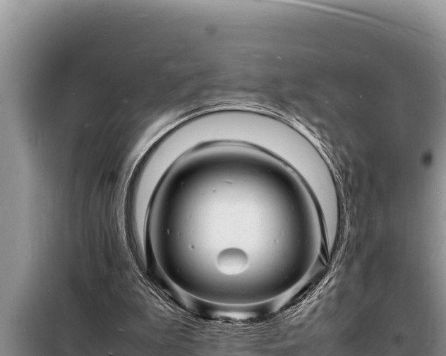 X0000098180199200805011044