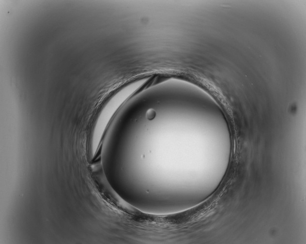 X0000098180201200805011044