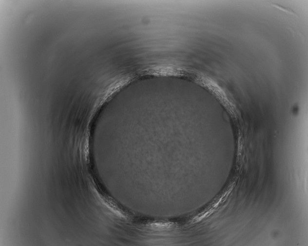 X0000098180202200805011044