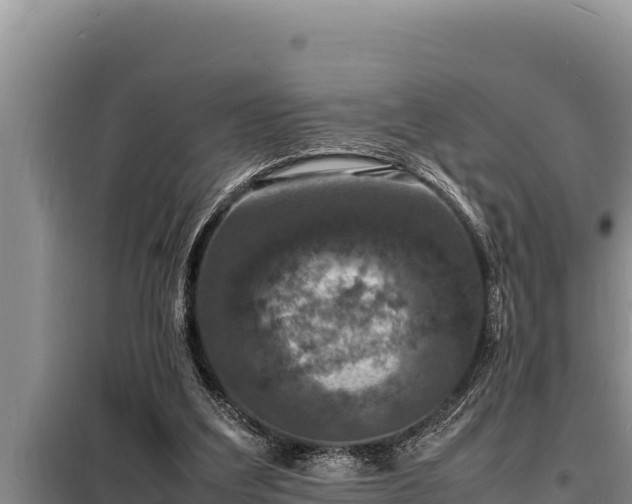 X0000098180203200805011044