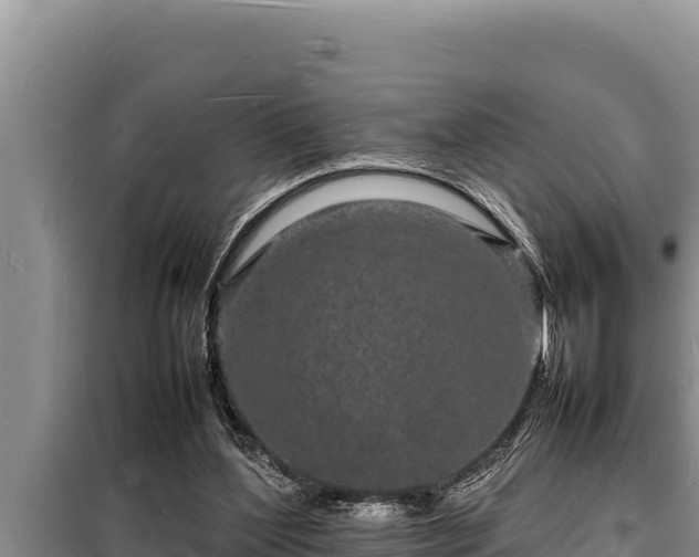 X0000098180204200805011044