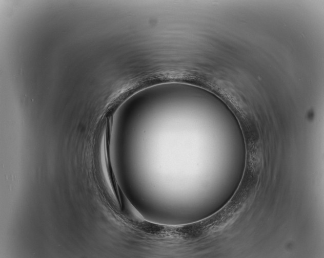 X0000098180207200805011043