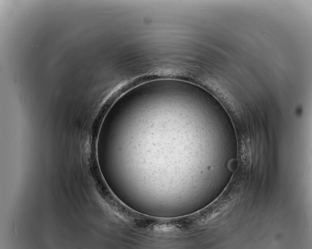 X0000098180208200805011043