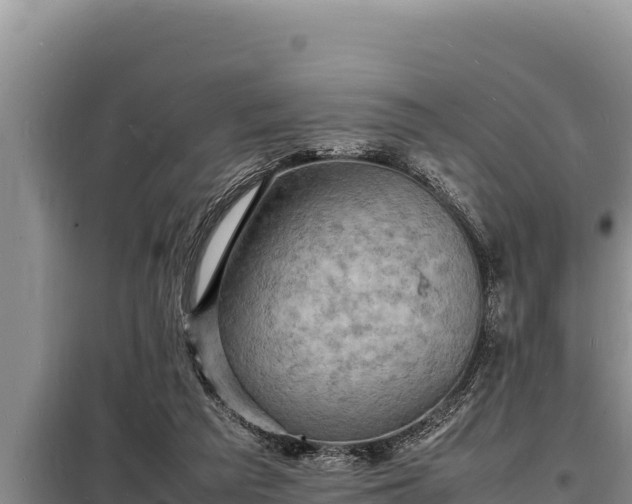 X0000098180209200805011043