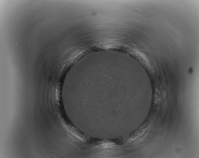 X0000098180210200805011043