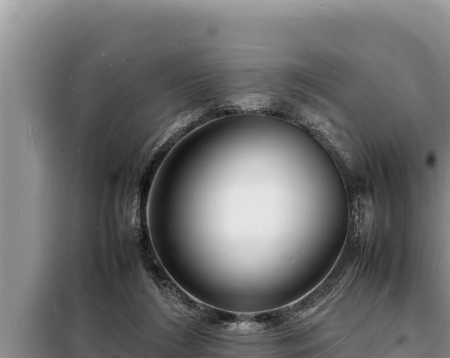 X0000098180212200805011043