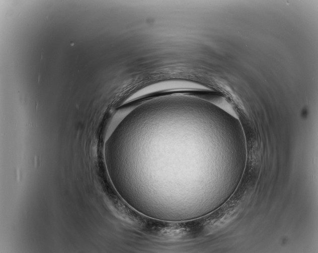 X0000098180213200805011043