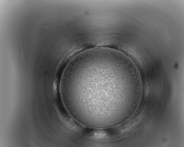 X0000098180214200805011043