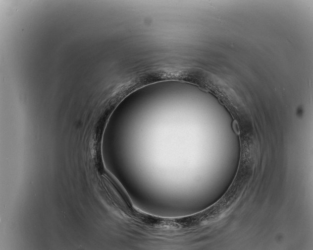 X0000098180215200805011043