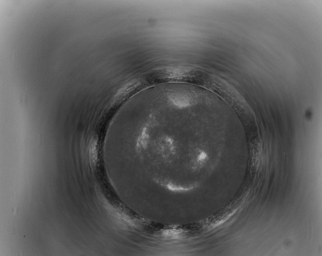 X0000098180216200805011043