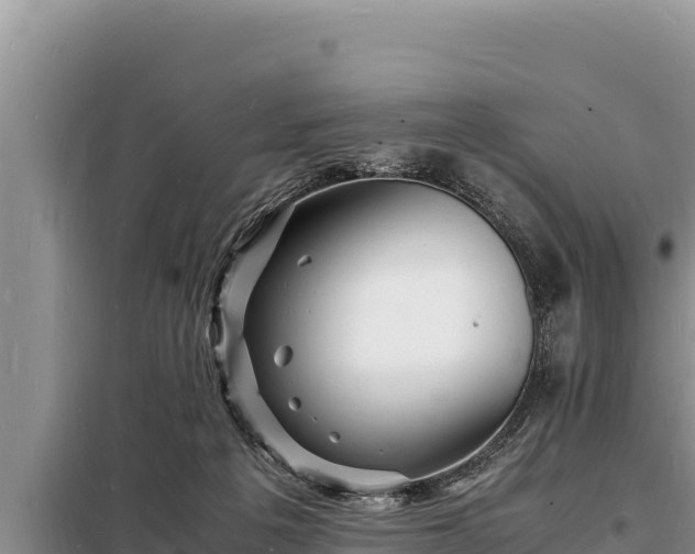 X0000098180217200805011043