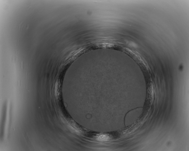 X0000098180218200805011043