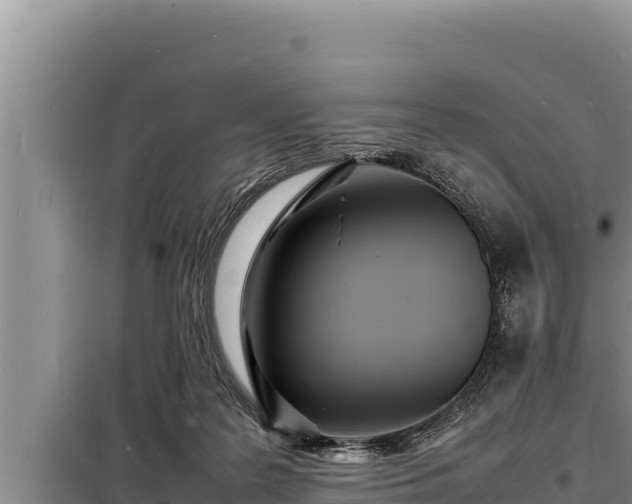 X0000098180219200805011043