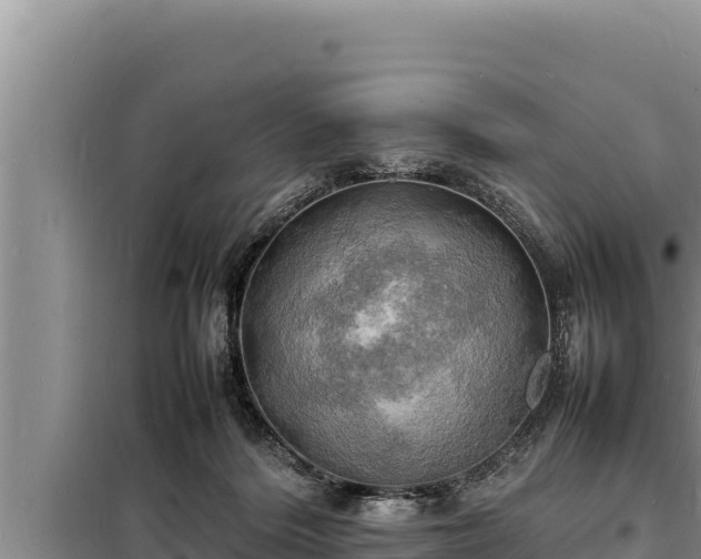 X0000098180220200805011043