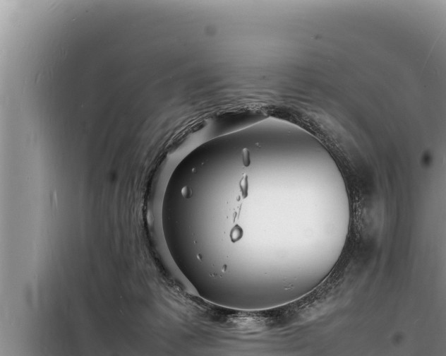 X0000098180221200805011043