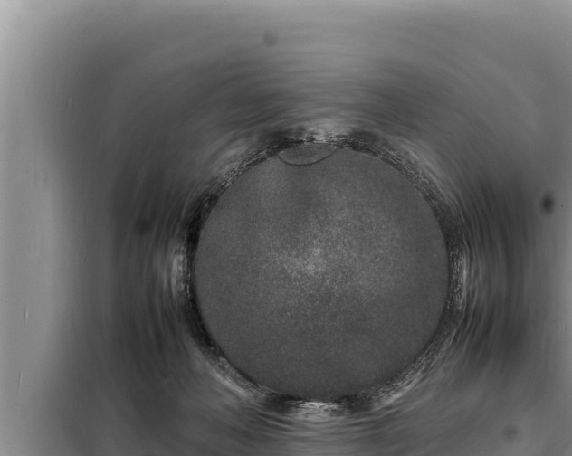 X0000098180222200805011043