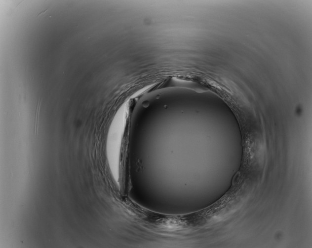 X0000098180223200805011043