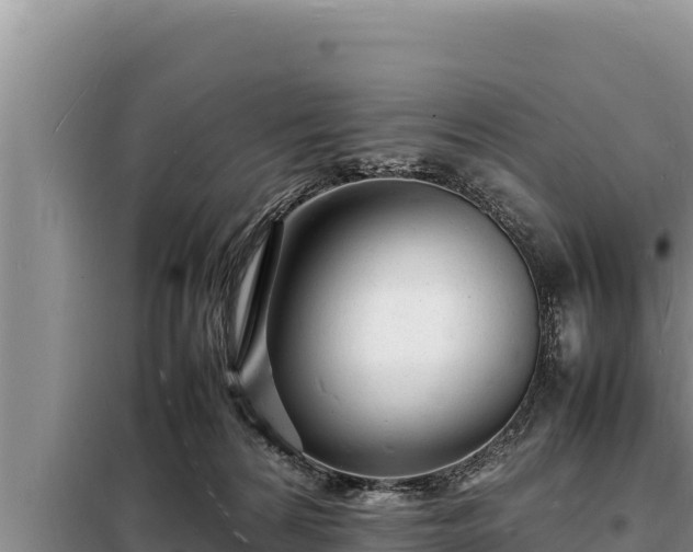 X0000098180224200805011043