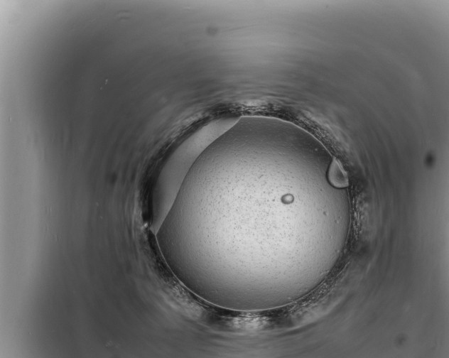 X0000098180225200805011043