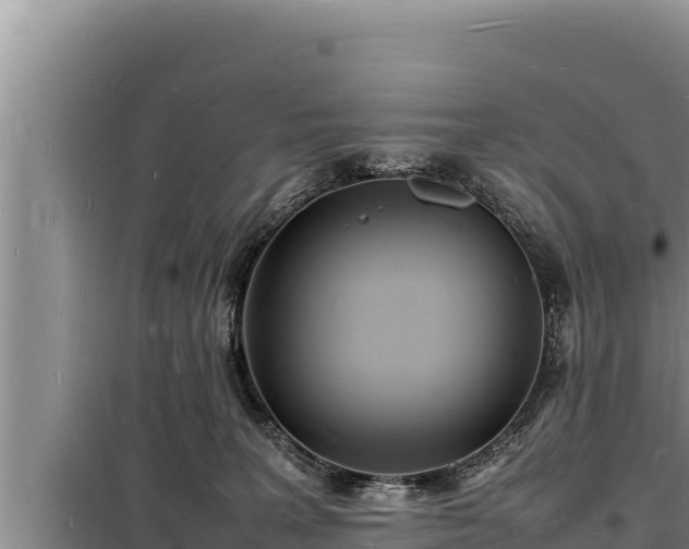 X0000098180227200805011043