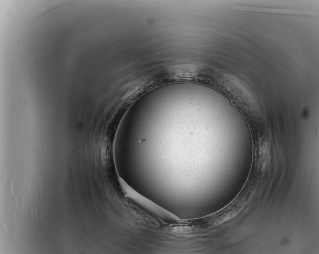 X0000098180228200805011043