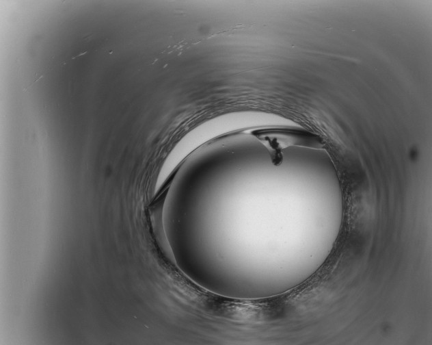 X0000098180229200805011043