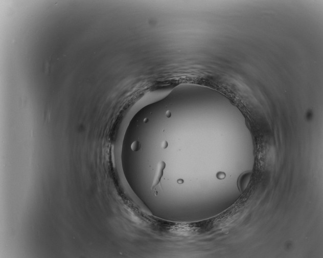 X0000098180231200805011043