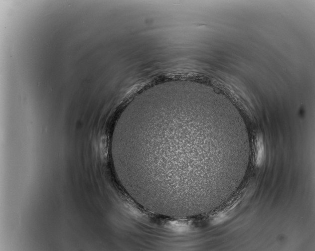 X0000098180232200805011043