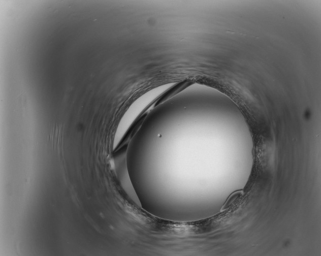 X0000098180233200805011043