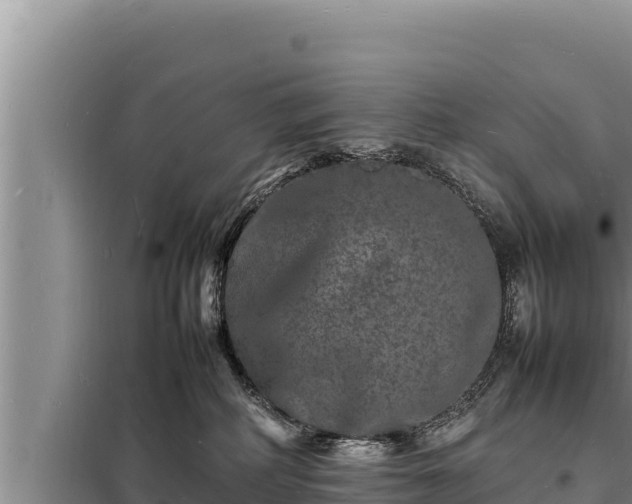 X0000098180234200805011043