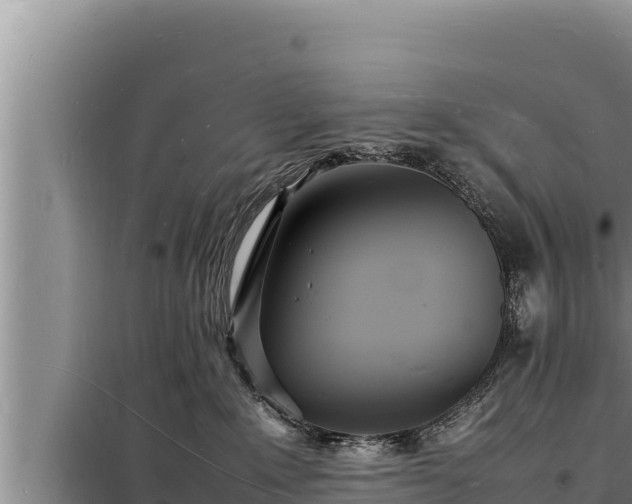 X0000098180235200805011043