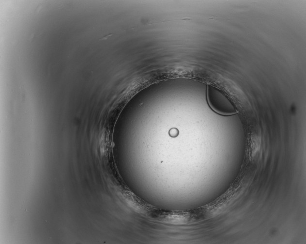 X0000098180236200805011043