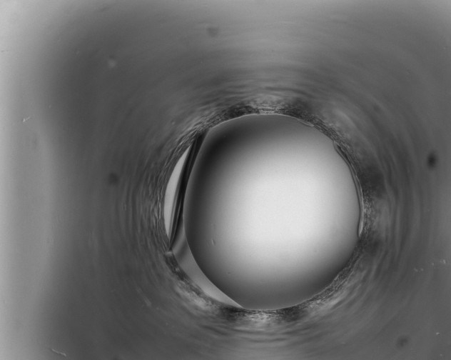 X0000098180237200805011043