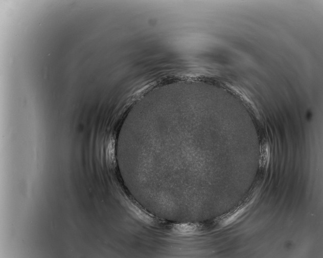 X0000098180238200805011043