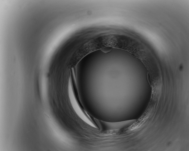 X0000098180239200805011043