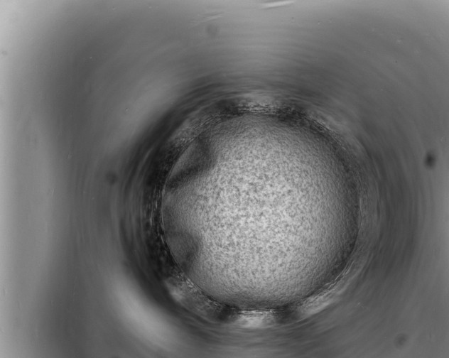 X0000098180240200805011043