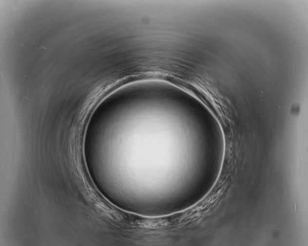 X0000098180241200805011042