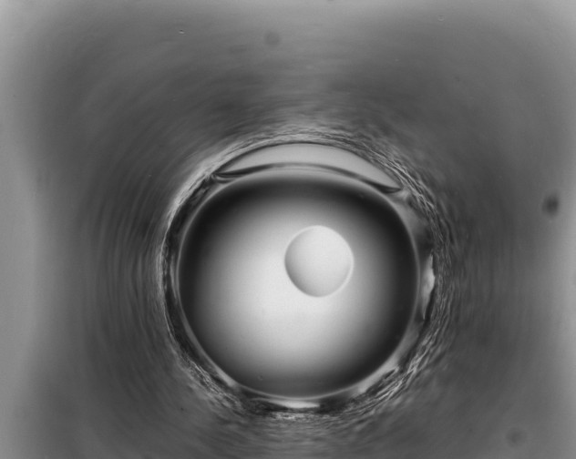 X0000098180244200805011042