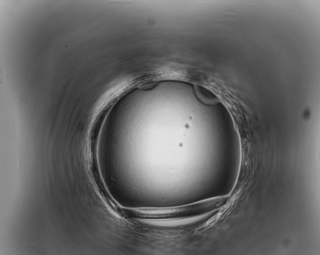 X0000098180245200805011042