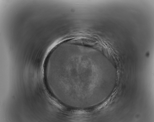 X0000098180246200805011042