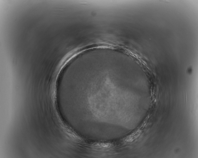 X0000098180247200805011042